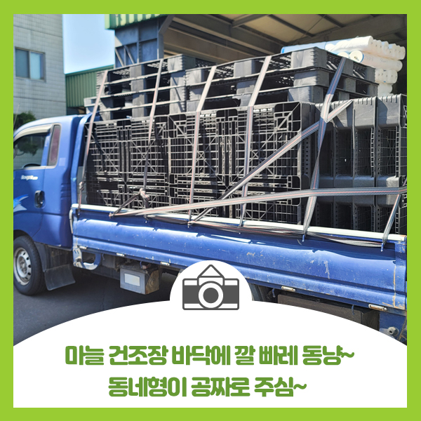  마늘 건조장에 바닥에 깔 빠레트 동냥, 동네형이 공짜로 주심