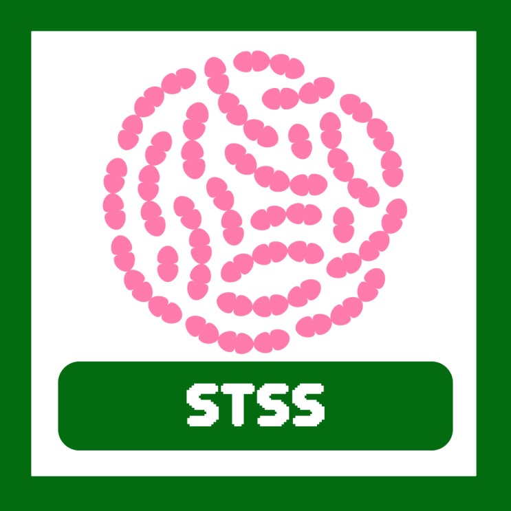  일본 여행 연쇄 상구균 독성 쇼크 증후군 주의 STSS 증상 전염 치사율