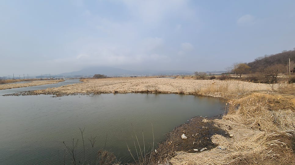망실지 사진 3