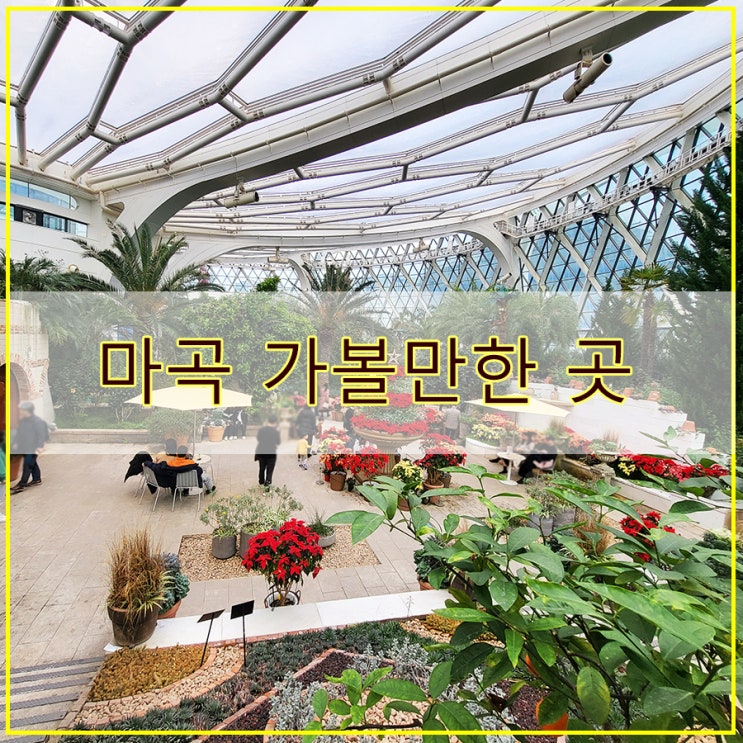 마곡 가볼만한 곳 서울식물원 방문 후기