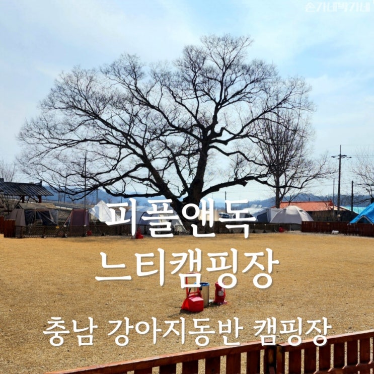 충남 피플앤독 느티캠핑장 데크독채 8번 후기, 강아지 동반 캠핑장