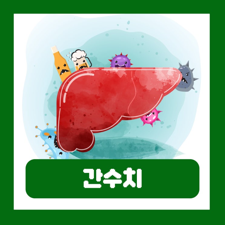  간수치가 높은이유 간장질환 감마지티피 수치 높음