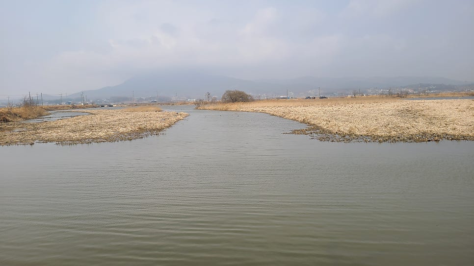 망실지 사진 4