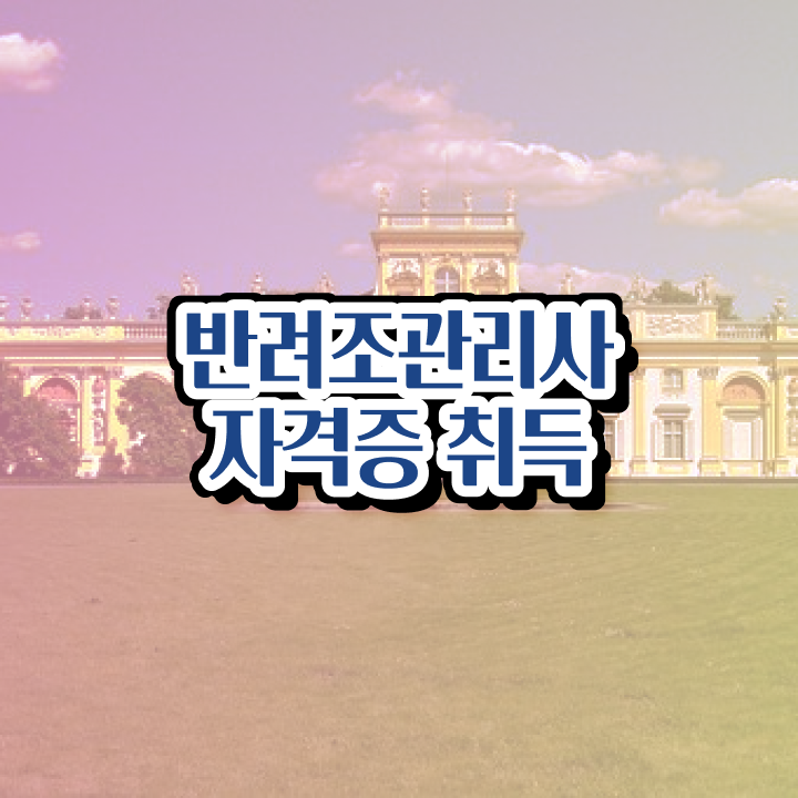  말하는 앵무새 가격  반려조관리사  콕콕 짚어드립니다