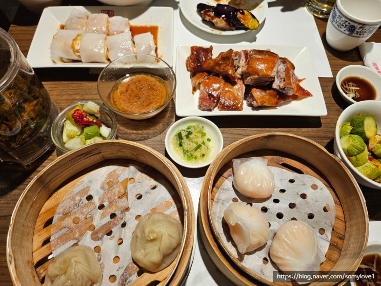  [내돈내산] 고터/딤딤섬 센트럴시티 맛집 적당한 가격대의 만두집