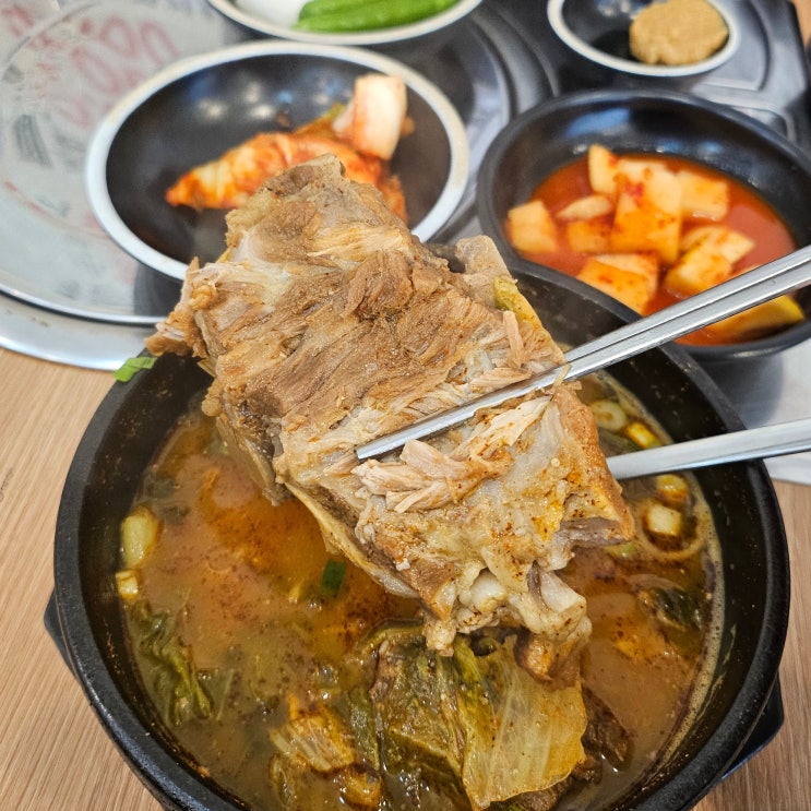  온천장 뼈 해장국 맛집 - [차밭골 돌솥 감자탕] 후기 (부산 동래구 온천동 뼈다귀 해장국)