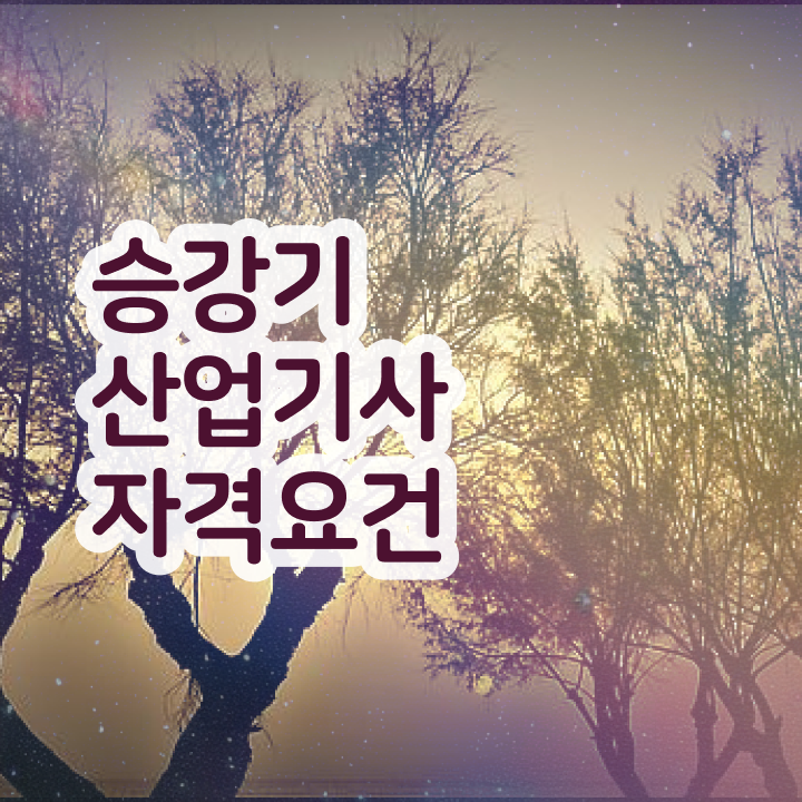  승강기산업기사 시험   승강기산업기사   핵심 공개