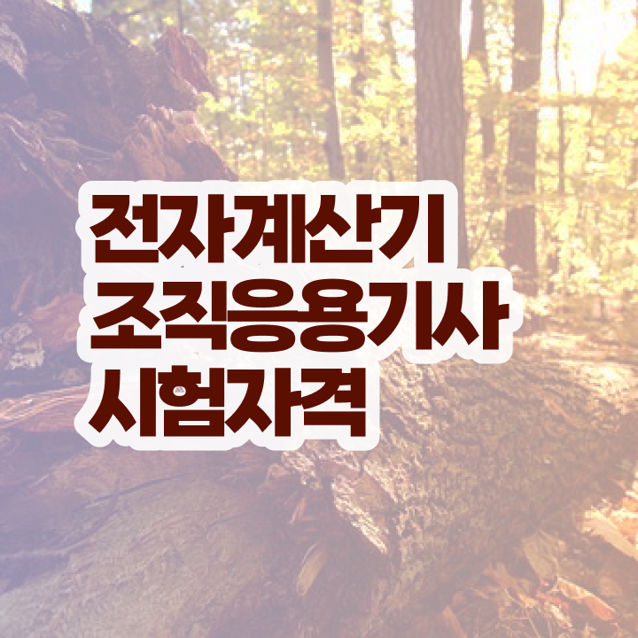  전자계산기조직응용기사 실기   전자계산기조직응용기사   관련 정보