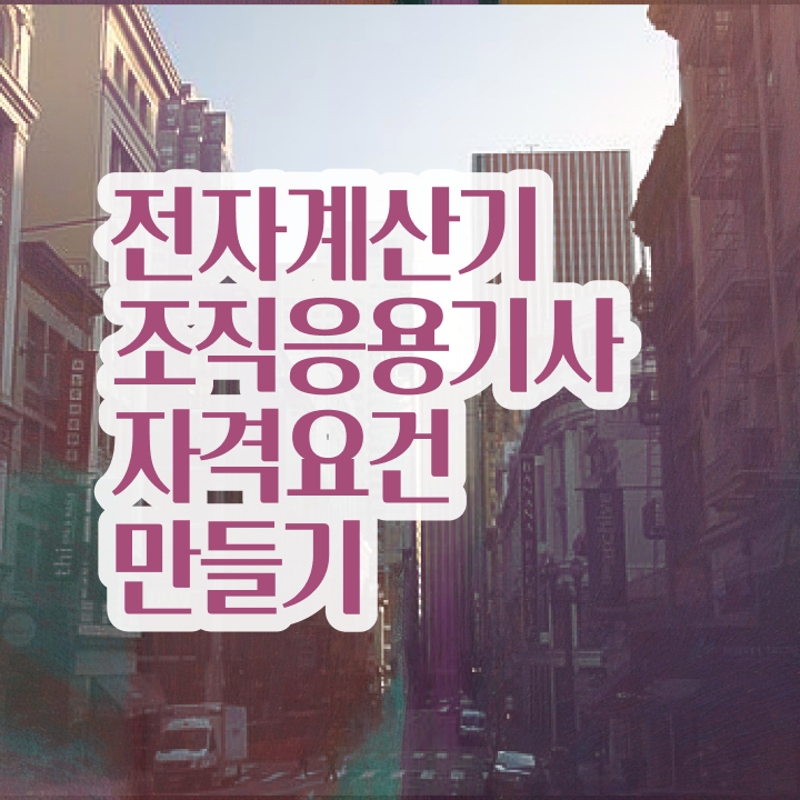  전자계산기조직응용기사 시험과목  전자계산기조직응용기사  핵심 정보