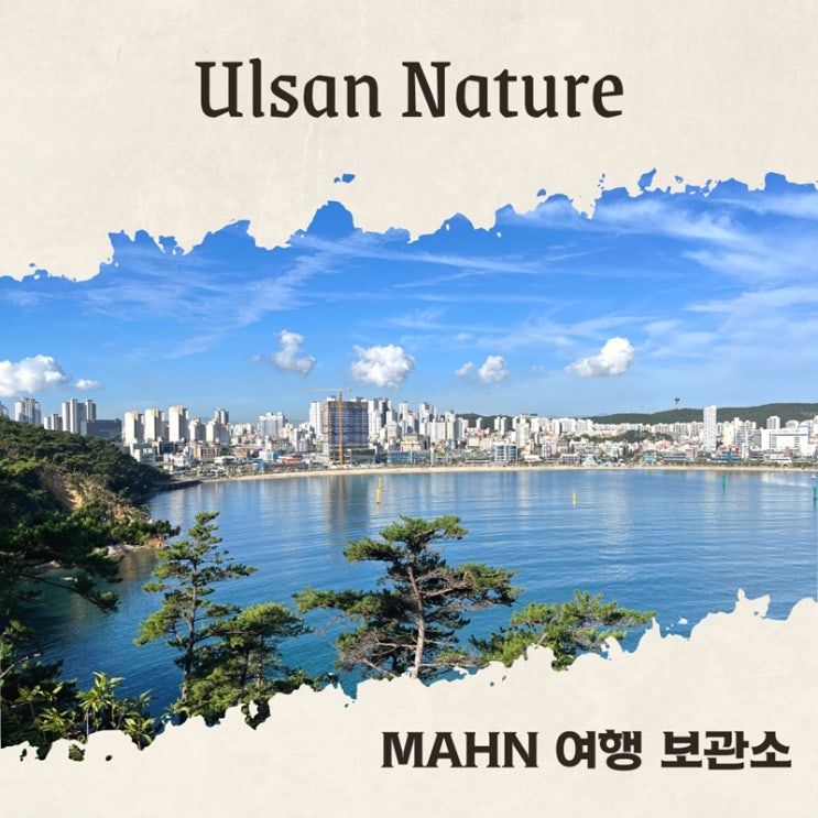  울산 가볼만한 곳 4월 5월 봄 여행지 3곳 추천
