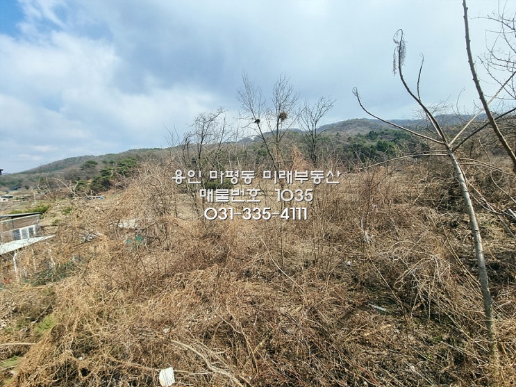  급매 공시지가보다 저렴 소액 토지 투자 용인 양지면 송문리 전원주택 부지