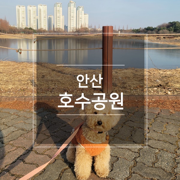  안산호수공원 강아지랑 반려견 동반 산책로 주말 나들이 3월 가볼만한곳 놀거리 경기도 여행지 추천