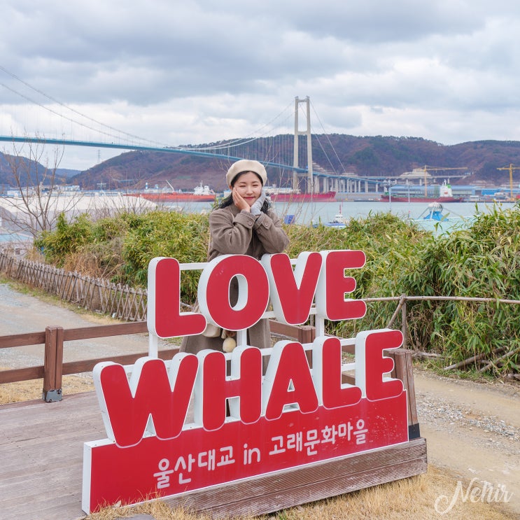  울산 가볼만한곳 장생포 고래문화마을 모노레일 고래박물관