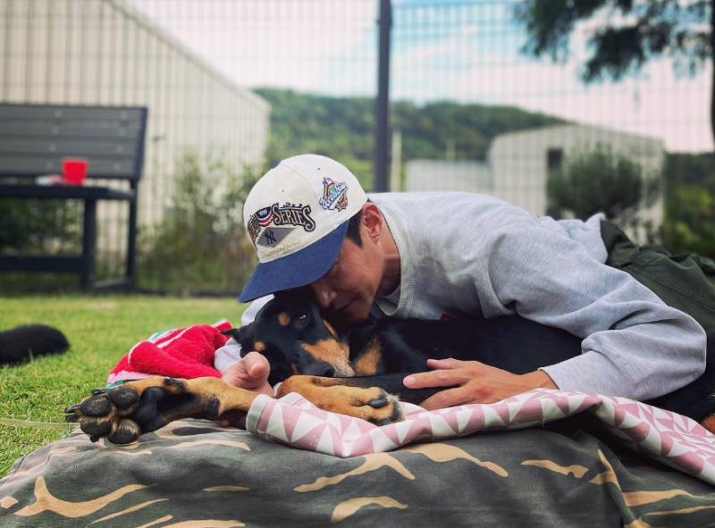 배정남 강아지 도베르만 벨, 급성 디스크로 전신마비 판정 후 1년 7개월 만에 집으로 돌아오....