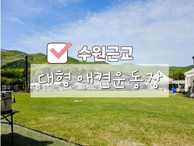  수원근교 용인 대형 애견운동장 BEST 4