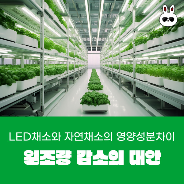  스마트팜 LED채소 와 자연 채소의 영양성분 차이
