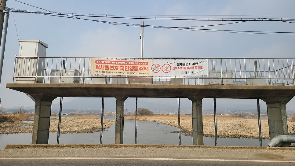 망실지 사진 5