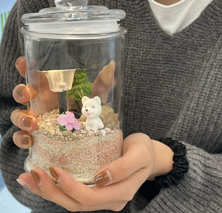  부산테라리움/부산원예강의/부산출강/부산진로교육/부산원데이클래스/이끼테라리움/식물수업/테라리움수업