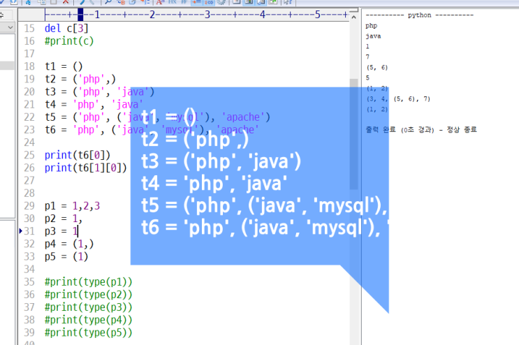  파이썬 튜플 자료형 python tuple