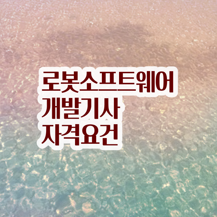  로봇소프트웨어개발기사 요건   로봇소프트웨어개발기사   핵심 정보