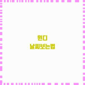  윈디로 날씨 확인!