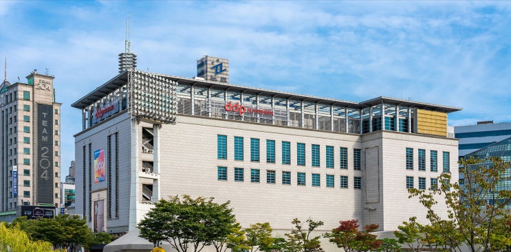  중국마케팅 DDP패션몰 타오바오 SNS 라이브커머스 진행