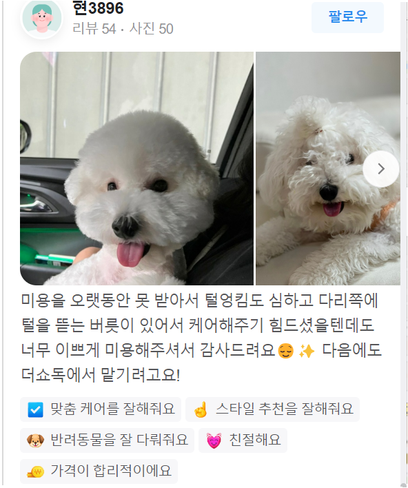  애견미용실, 이 2가지는 꼭 확인하고 맡기세요!
