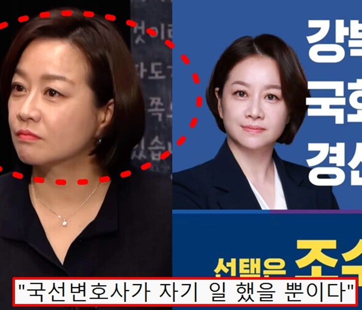 '강북을 조수진 변호사 성범죄자 변호 논란' 보수 지지층도 옹호하는 이유 (남편, 민주당, 박....