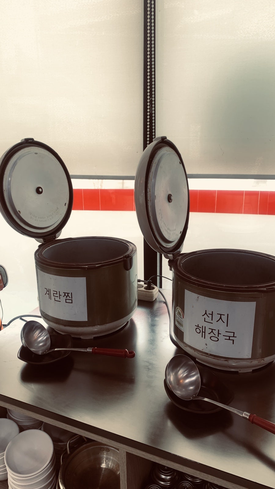 내가키운도야지 사진 6