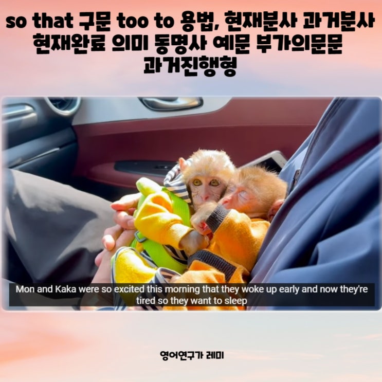 so that 구문 too to 용법, 현재분사 과거분사 현재완료 시제 동명사 예시 부가의문문 과거진행형 so that 구문 too to 용법, 현재분사 과거분사 현재완료 시제 동명사 예시 부가의문문 과거진행형
