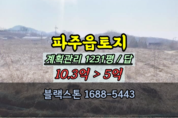  파주읍토지 경매 파주시 농지 1천평대 답 5억