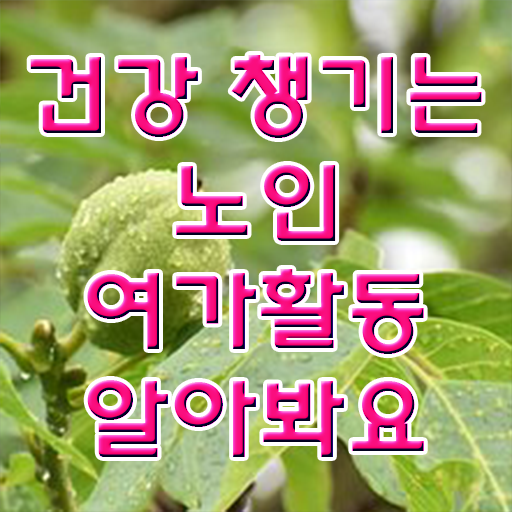  노인여가활동 지도사  노인여가활동지도사  이건 꼭 봐야해요