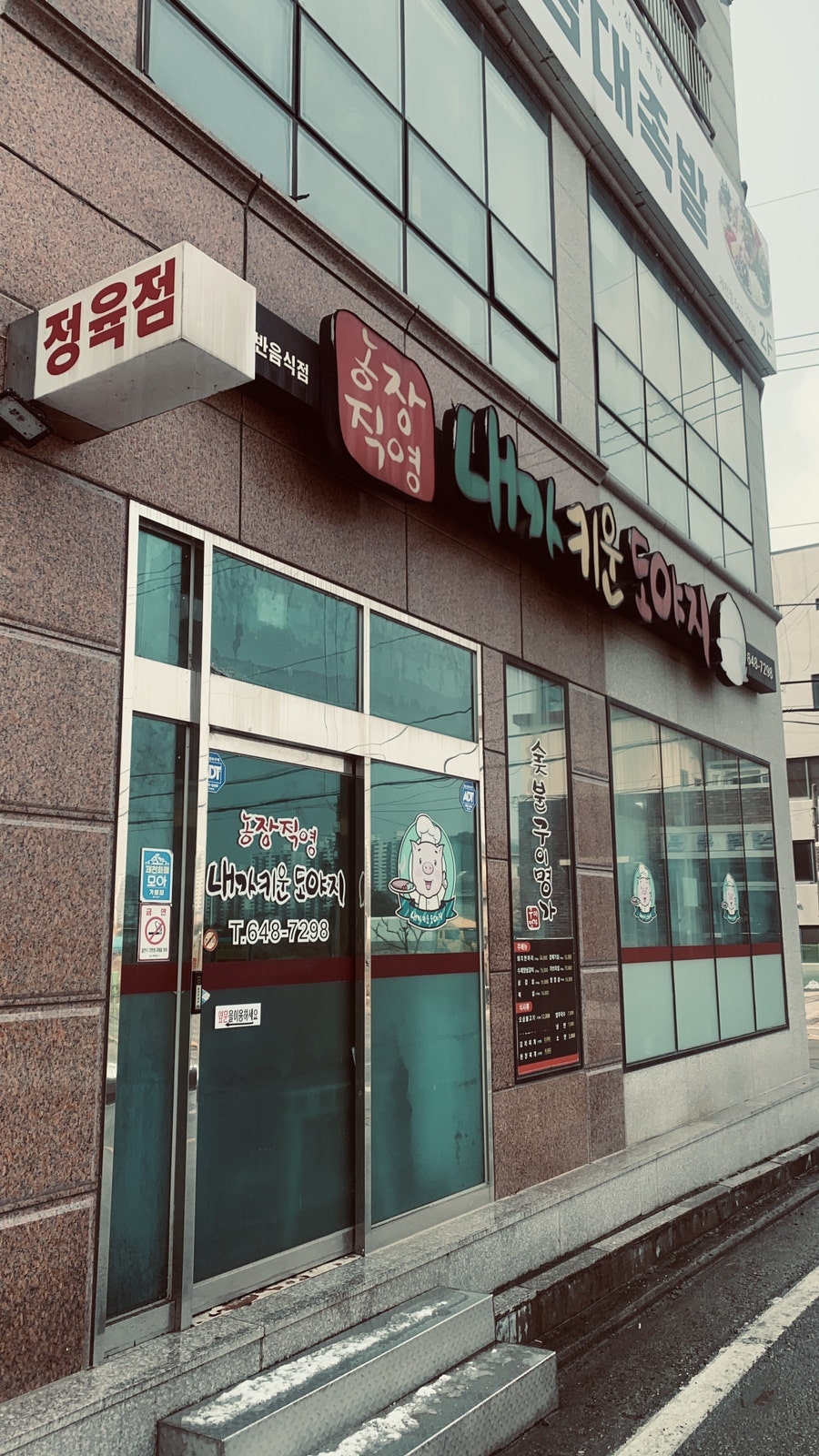 내가키운도야지 사진 1
