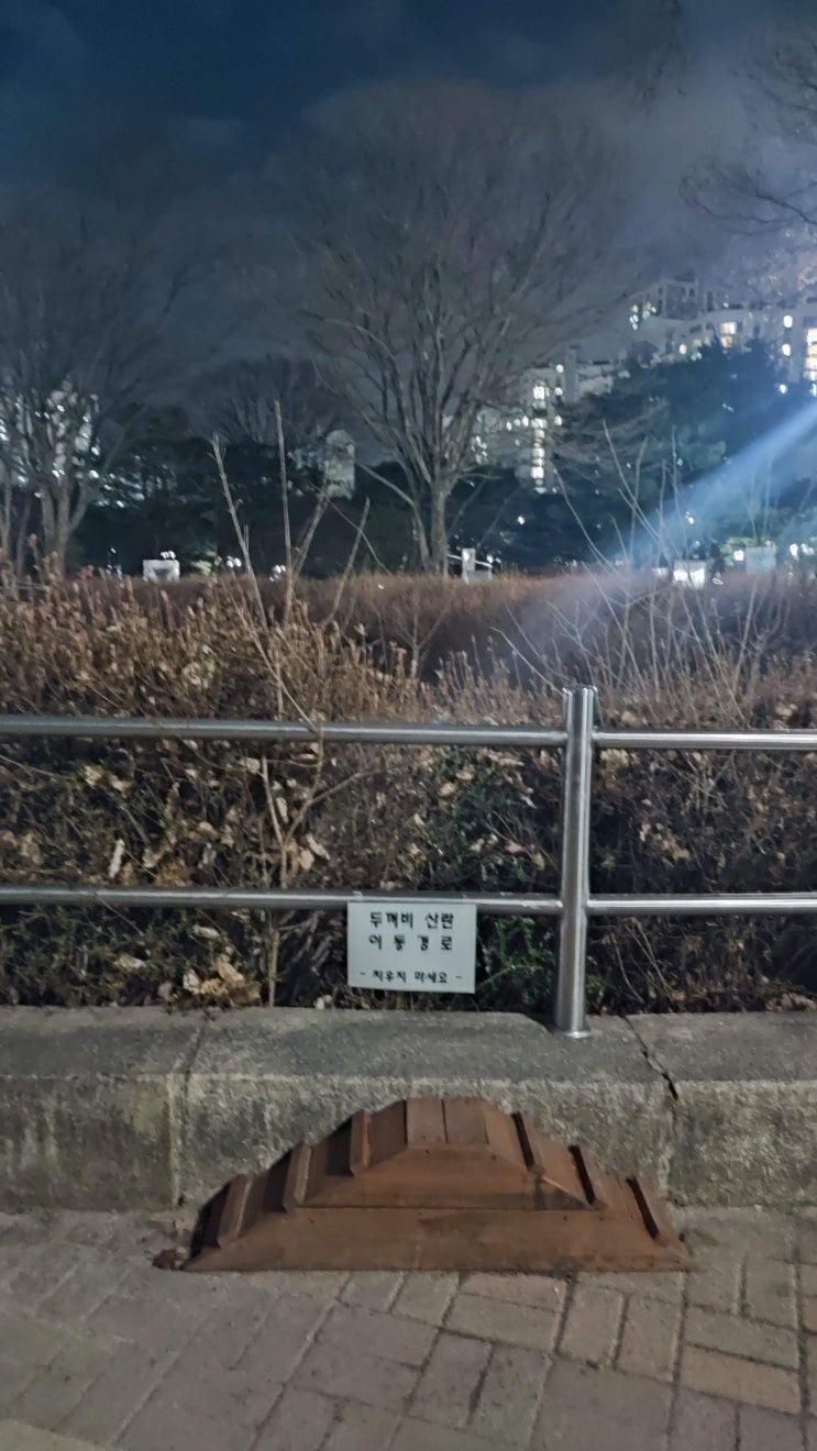  분당중앙공원 두꺼비 울음소리 240306