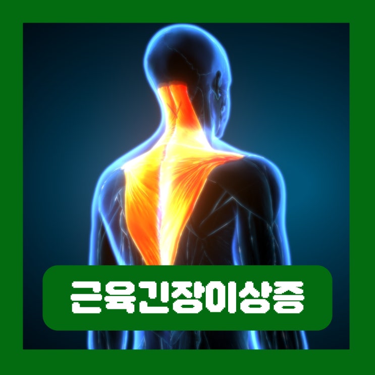  근육긴장이상증 이봉주 선수 난치병 초기증상 진단 완치