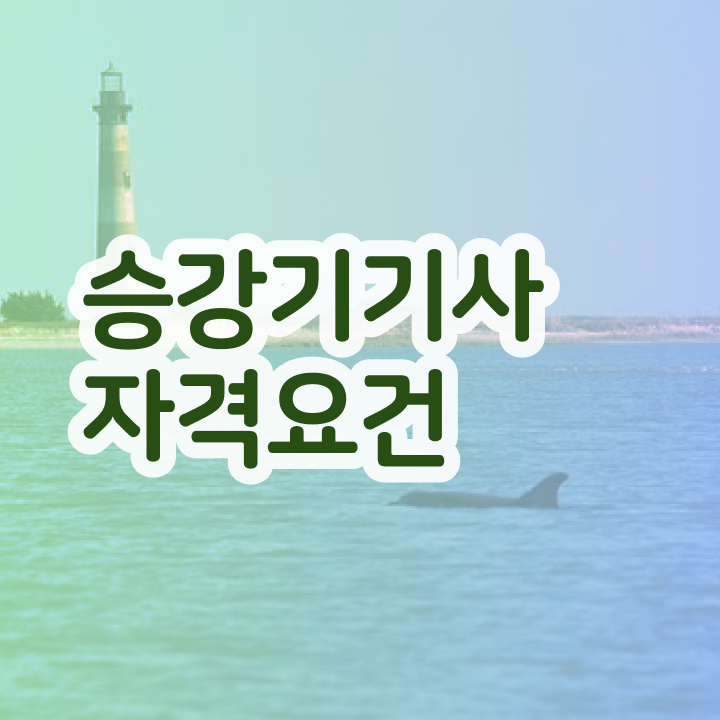  승강기기사 필기  승강기기사   자격증 정보