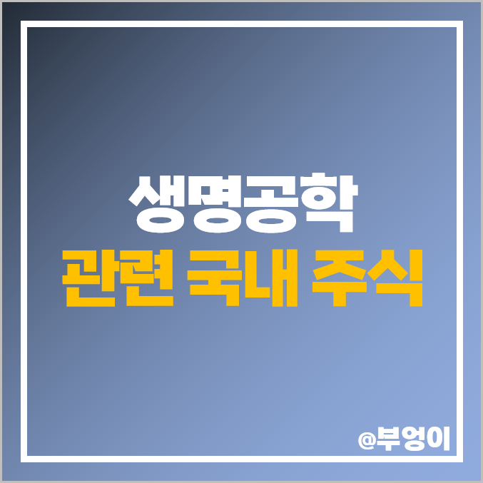 생명공학 관련주 셀레믹스 주식 유바이오로직스 에이비엘바이오 주가 생명공학 관련주 셀레믹스 주식 유바이오로직스 에이비엘바이오 주가