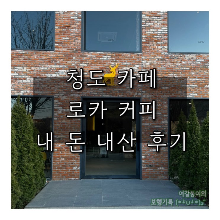  경북 청도 당일 여행｜분위기 맛집 로카 커피 내 돈 내산 후기