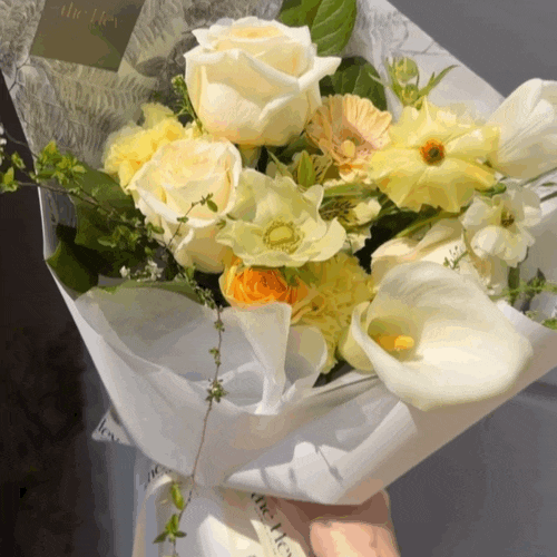 색조합이 예술인 청담동 스타일 수성구 꽃집 더 헤브 플라워 색조합이 예술인 청담동 스타일 수성구 꽃집 더 헤브 플라워