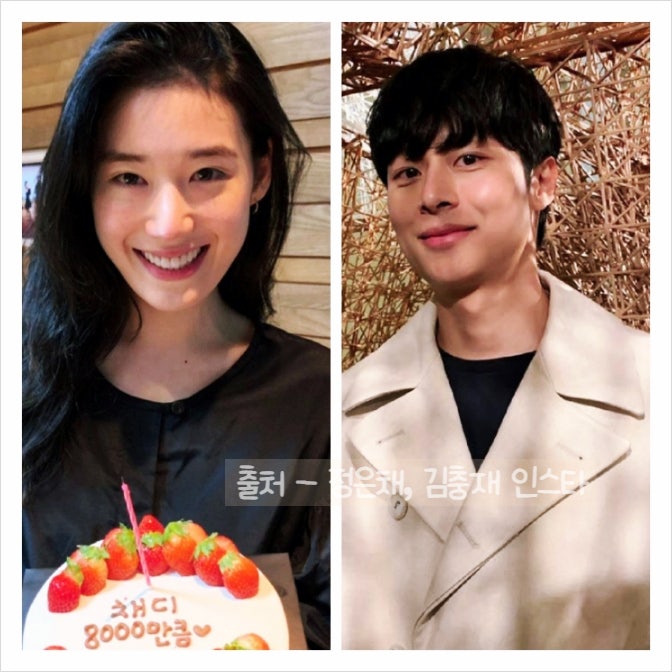 <b>정은채 김충재</b> 열애 연애 커플 프로필 인스타 기안84 후배 안나