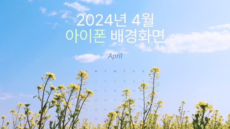 봄꽃 & 심플 2024년 4월 아이폰 15 pro max 스마트폰 고화질 배경화면 7종