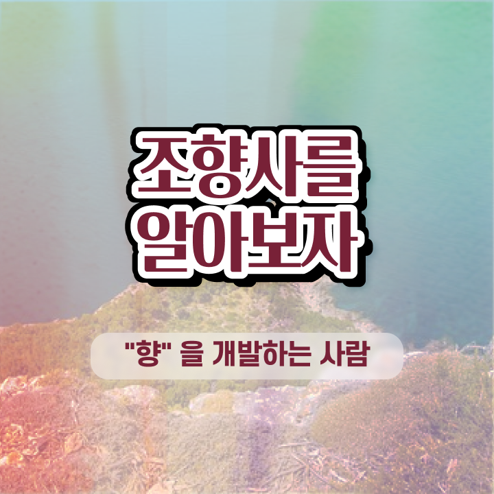  홍대 향수공방   홍대 향수공방 뤼미에르  조향사  자격증 취득