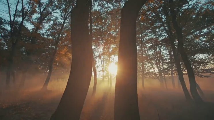  바리스타 2급 1급  바리스타  A부터 Z까지