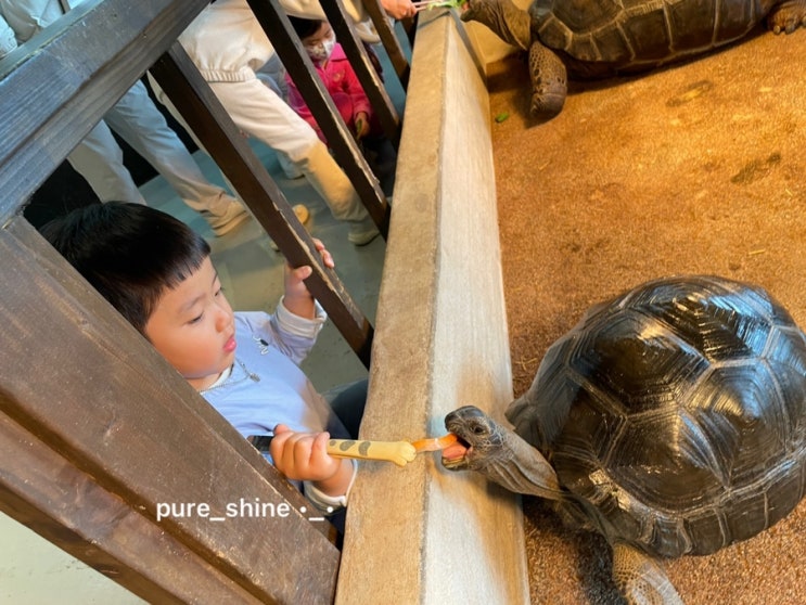  김포아이와 가볼만한곳 몬스터리움