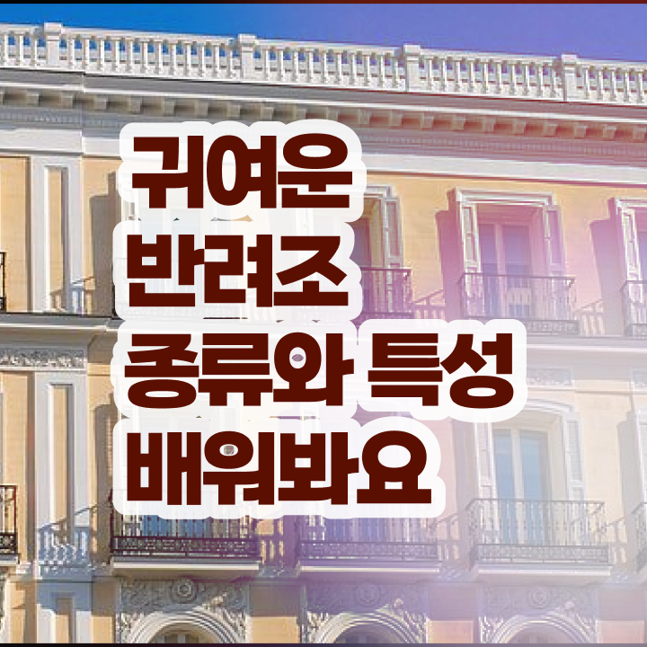  애완 앵무새 종류  반려조관리사  궁금하셨다고요