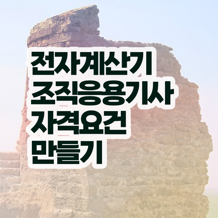  전자계산기조직응용기사 독학   전자계산기조직응용기사   핵심 정보
