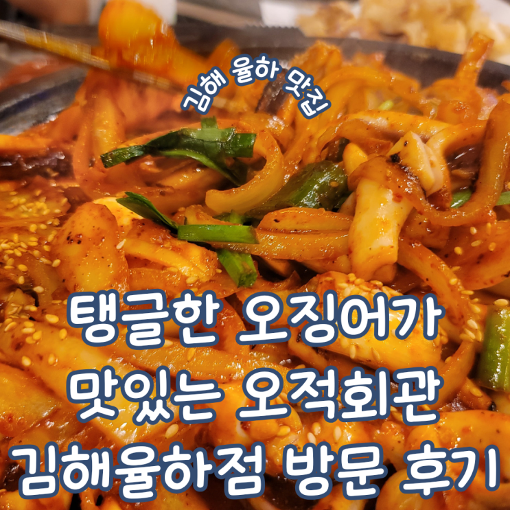  경남 김해 율하 맛집 탱글 한 오징어에 술 한잔하기 좋은 오적회관 김해율하점 방문기