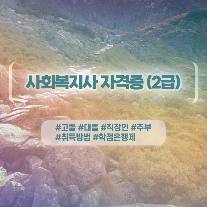  사회복지학과지원동기  사회복지사  핵심 공개