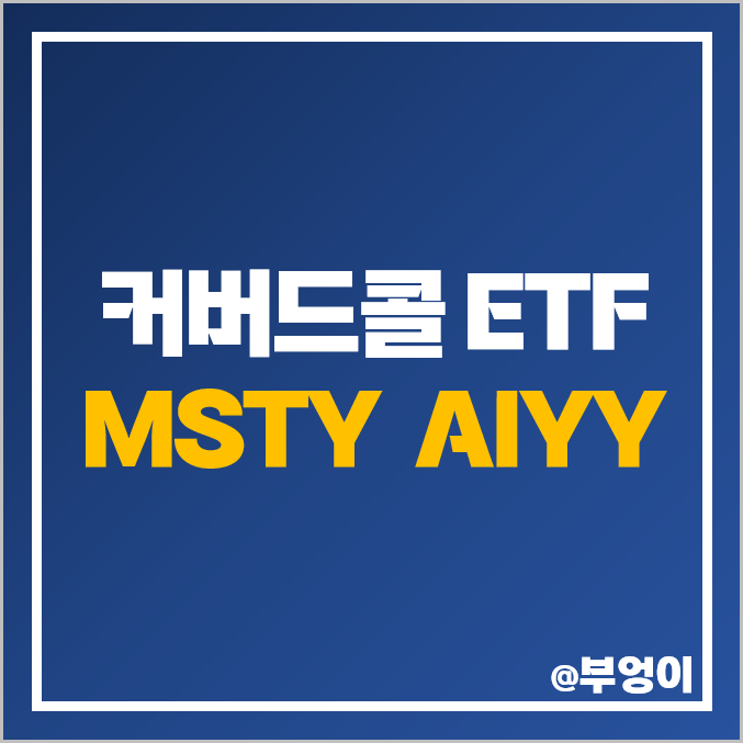 미국 커버드콜 ETF MSTY AIYY 마이크로스트레티지 C3 AI 관련주 미국 커버드콜 ETF MSTY AIYY 마이크로스트레티지 C3 AI 관련주
