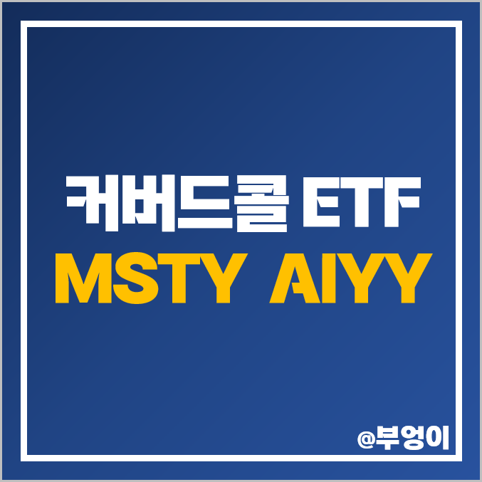 미국 커버드콜 ETF MSTY AIYY 마이크로스트레티지 C3 AI 관련주